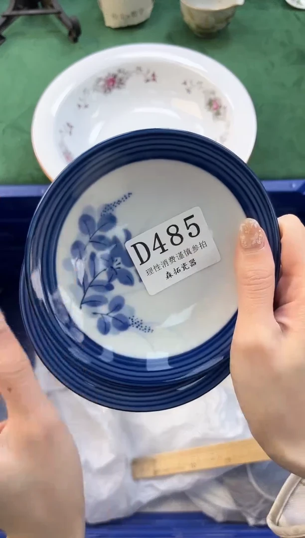 【闪购商品】瓷片          D485