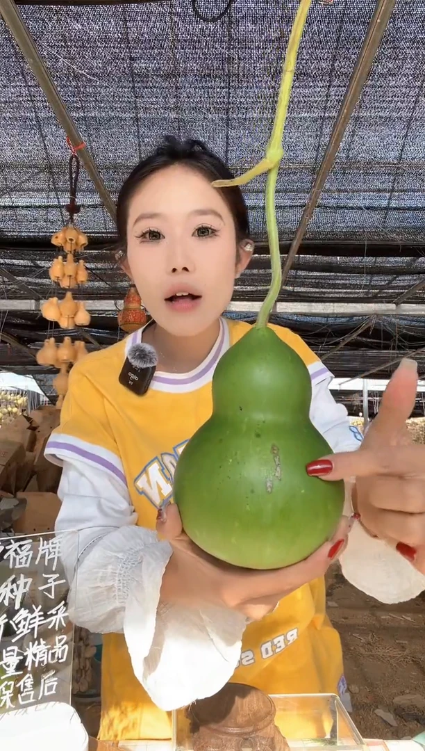065天然葫芦摆件 一物一拍龙头不保售后微瑕疵