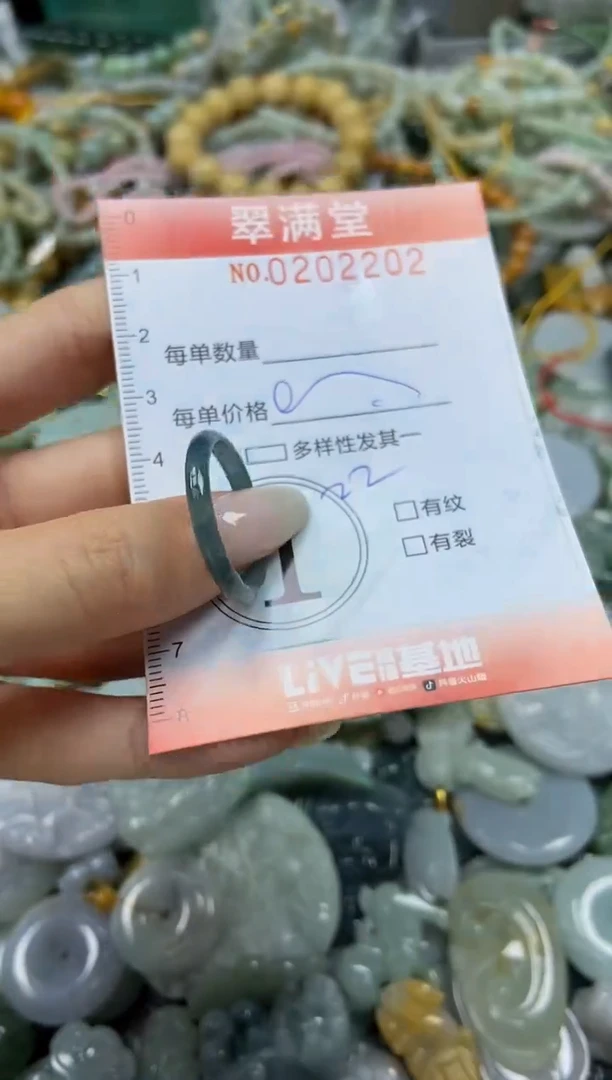 颈饰未镶嵌翡翠闪购0202202