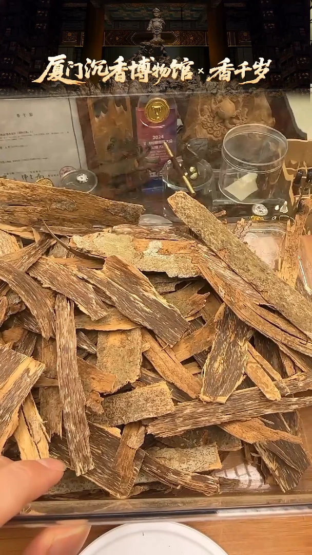 海南青桂沉香原料 多样性发货 5g