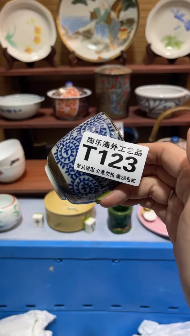 瓷片卢*婷             T123