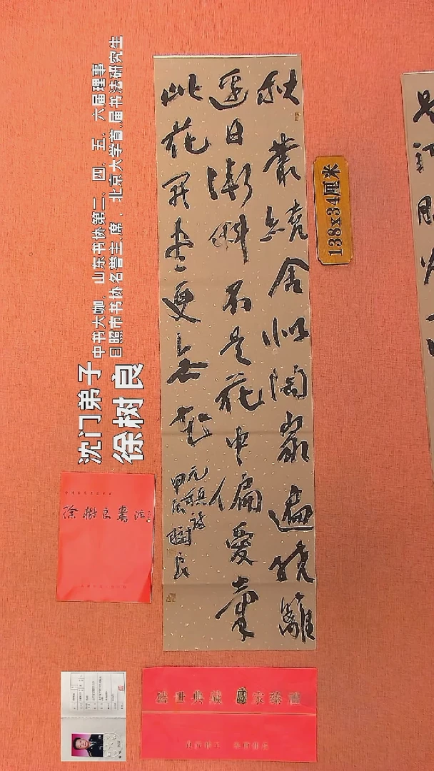 【闪购商品】书法75    徐树良书法作品