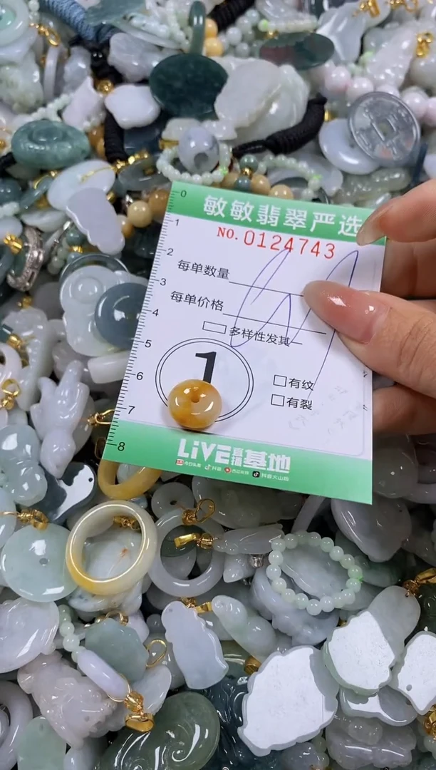 【闪购商品】翡翠颈饰未镶嵌闪购0124743