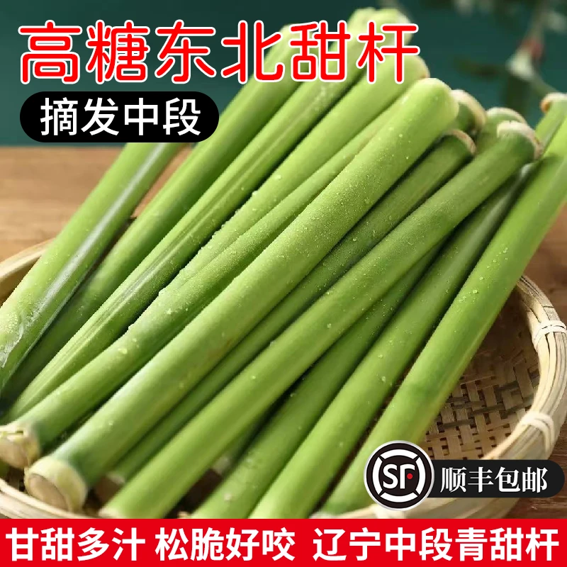 【顺丰冷链】东北甜杆精选中段新鲜甜芦粟多汁青皮甘蔗甜高粱1斤