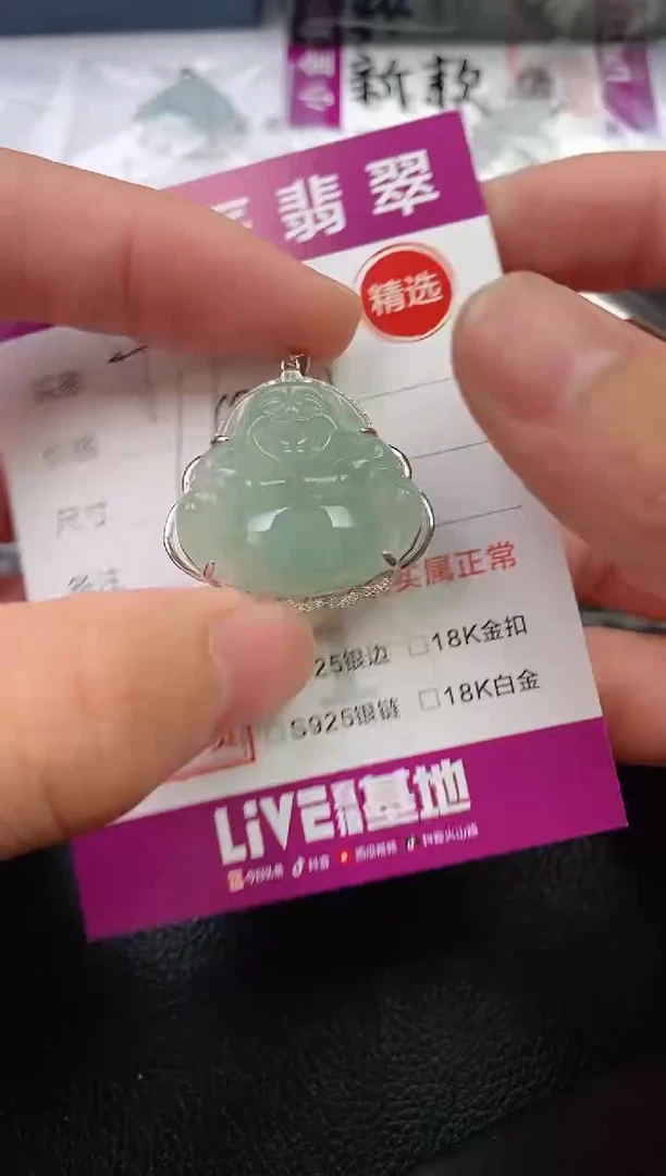 翡翠银S925镶嵌颈饰·