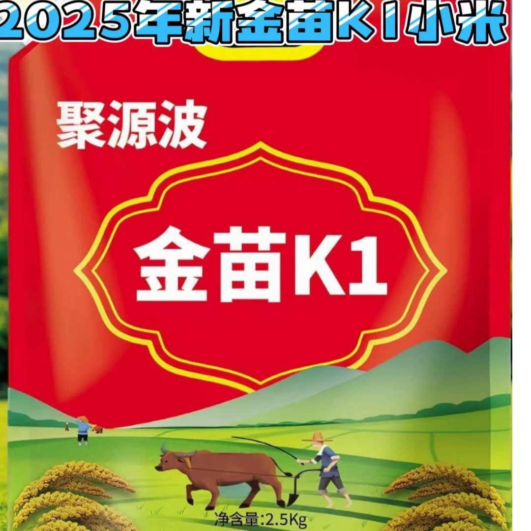 新黄小米东北黑龙江金苗K1小米软糯米脂小米粥营养品质精选