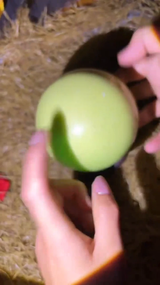 琪琪专属精品链接