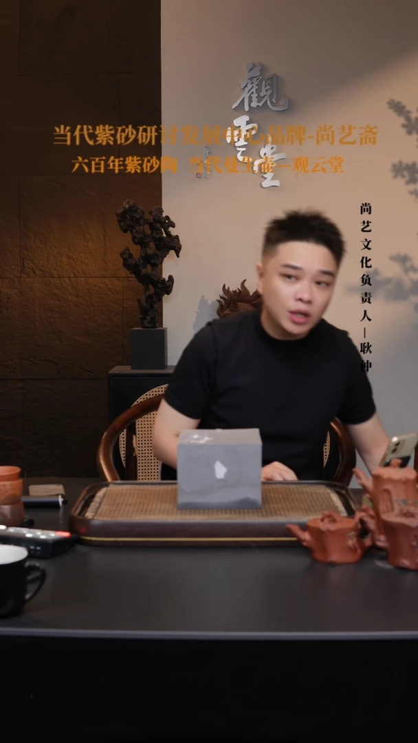 茶壶紫砂宜兴紫砂 紫砂壶