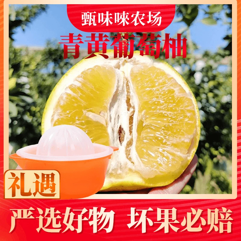 【甄味唻农场】福建翡翠青黄皮葡萄柚4.5斤4-7个单果300g+赠榨汁器T