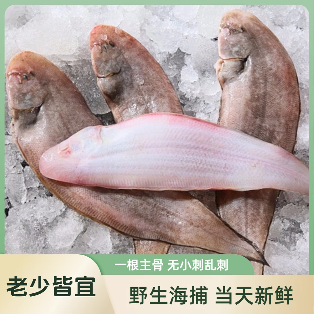 龙利鱼（5-7条/斤）龙利鱼龙舌鱼顺丰冷链包邮
