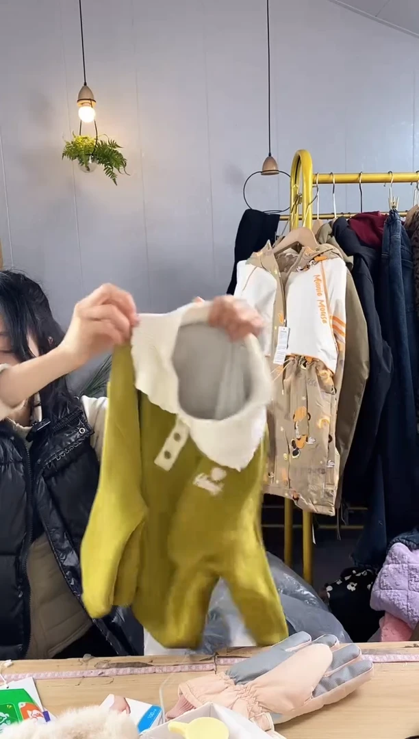 秋季加厚翻领卫衣【224