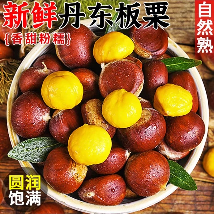 新鲜现摘高山板栗甘甜清脆鲜香好剥皮粉面香糯
