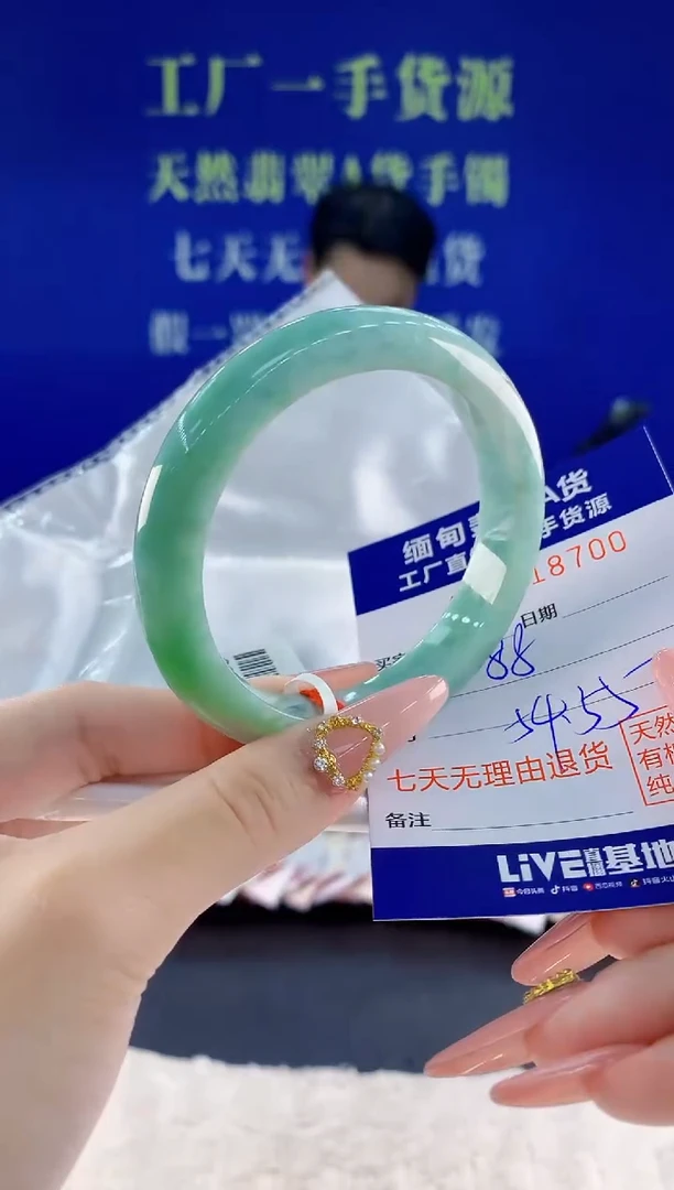 未镶嵌手镯翡翠00