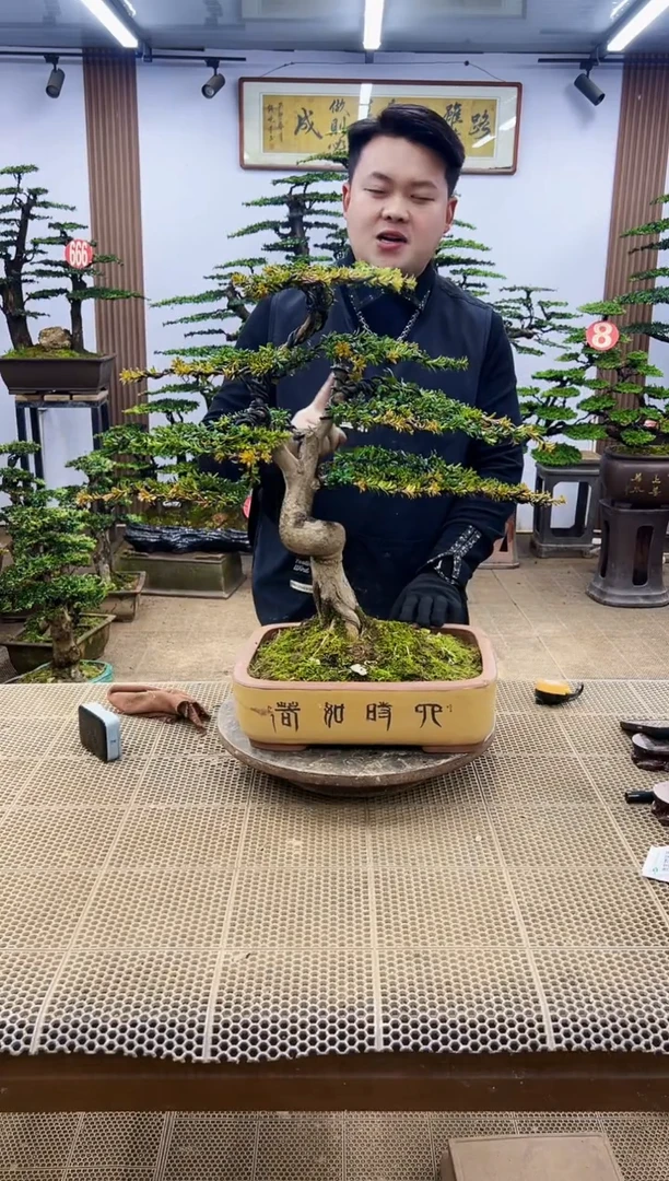 【闪购商品】000000000