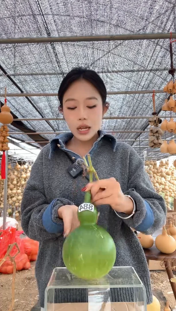 884天然葫芦摆件 一物一拍龙头不保售后