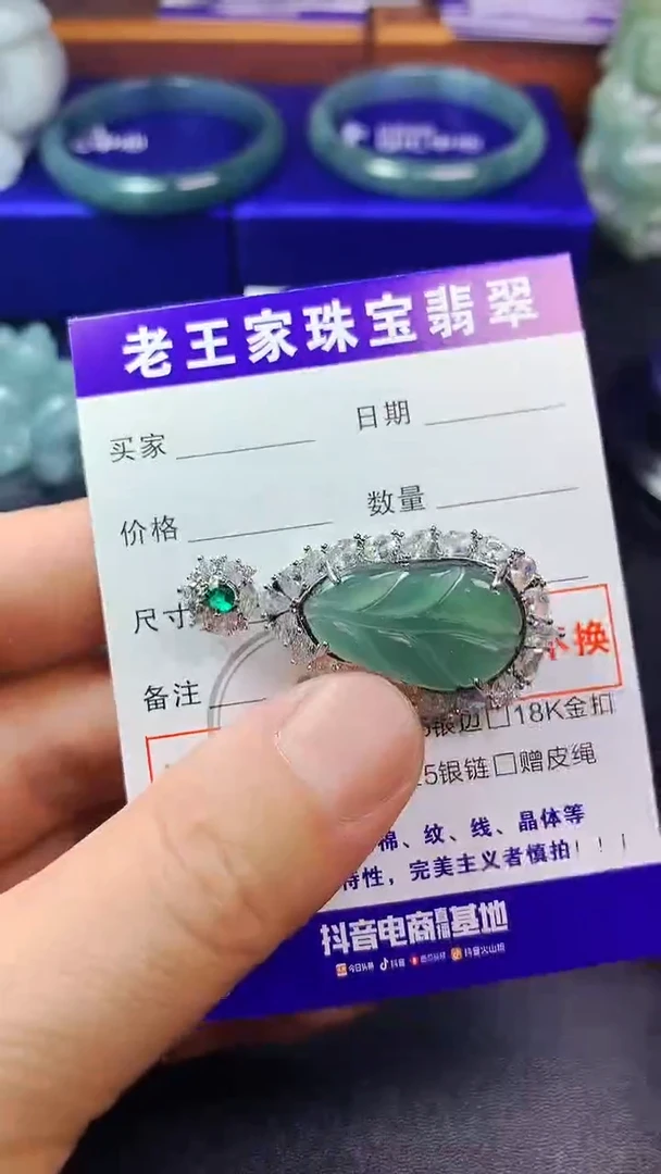 颈饰未镶嵌翡翠自**地叶子