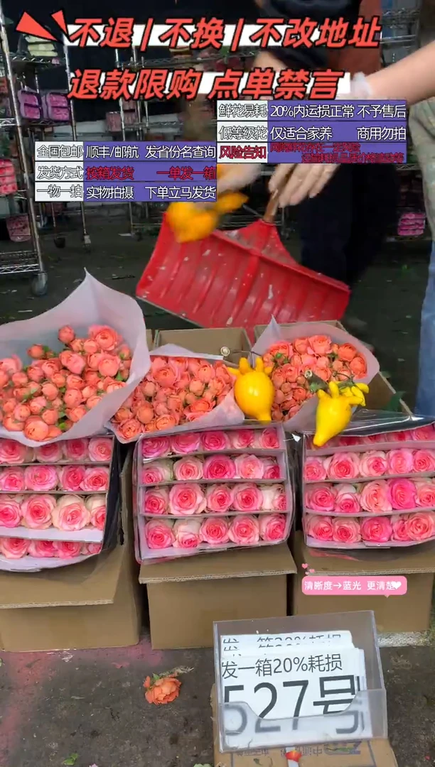 527号♥含20%耗损发一箱