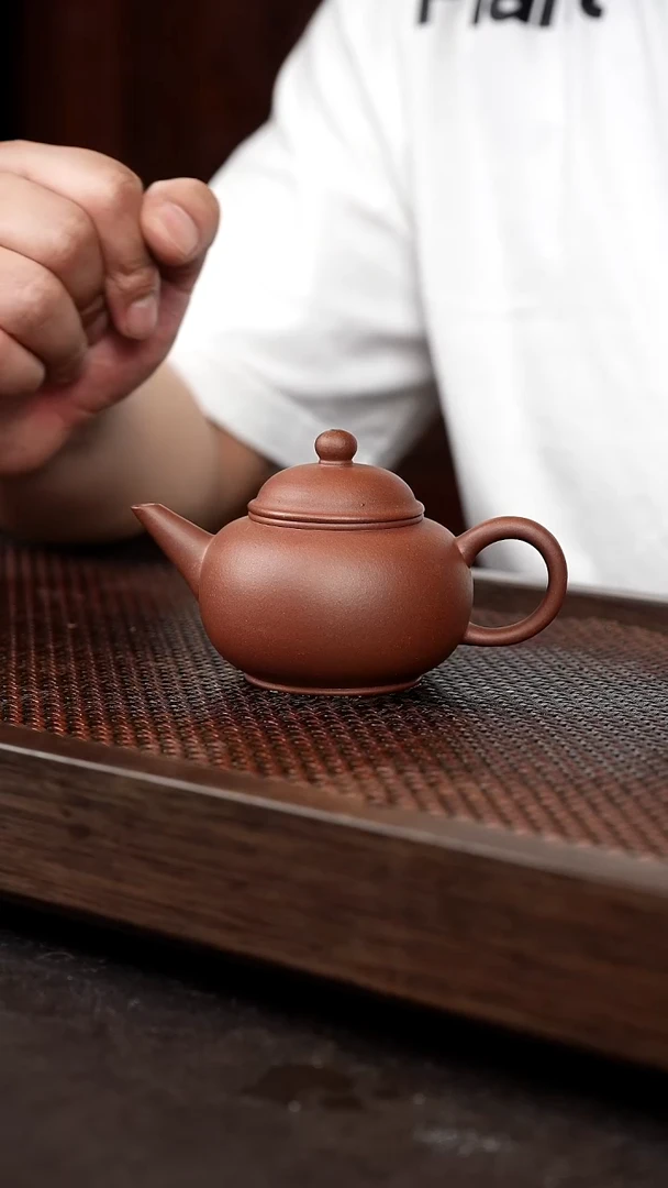 茶壶紫砂红皮龙水平