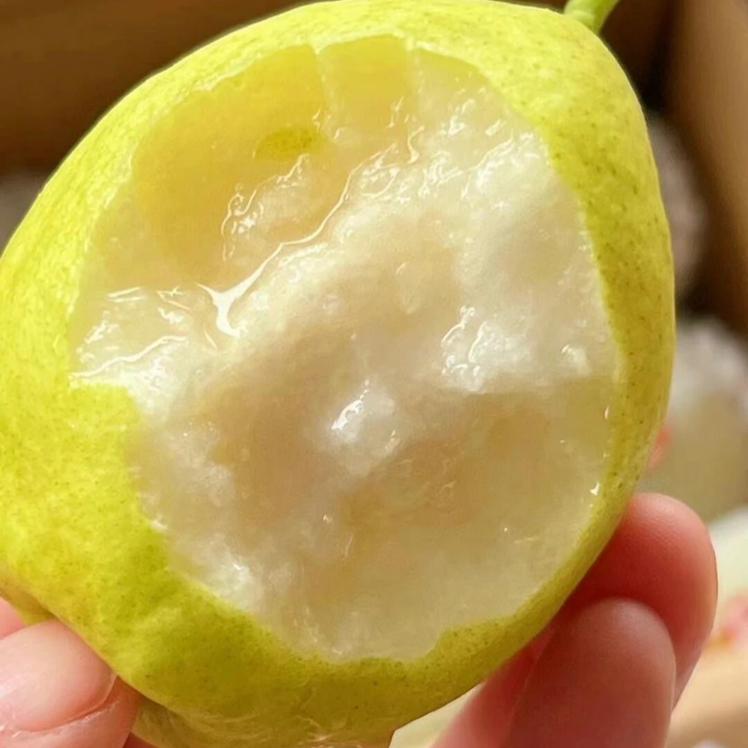库尔勒香梨箱装【顺丰包邮】