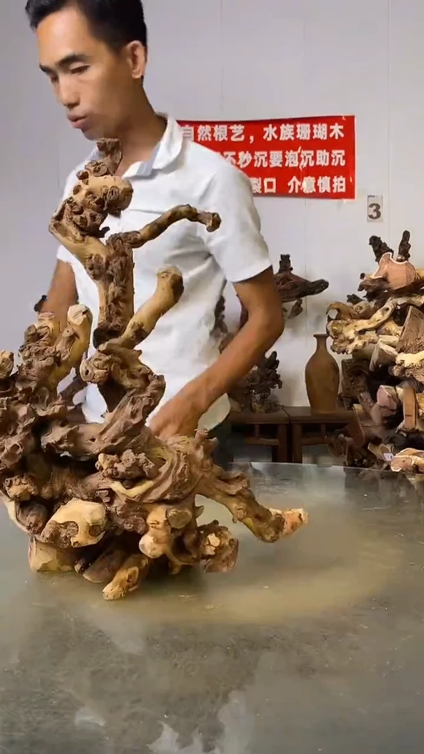 香榧木用**苦金丝红木   羊蹄甲