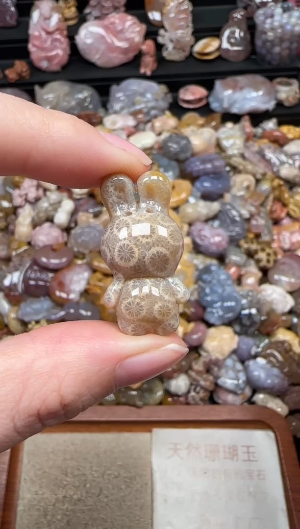 颈饰未镶嵌硅化珊瑚（珊瑚玉）249