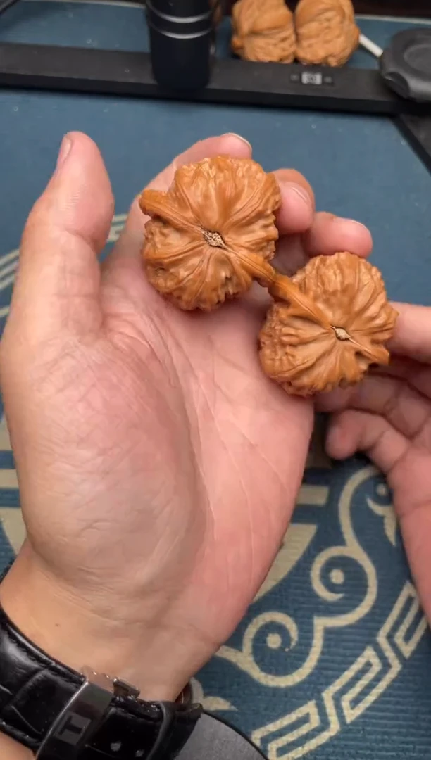 文玩核桃吊坠白狮子41