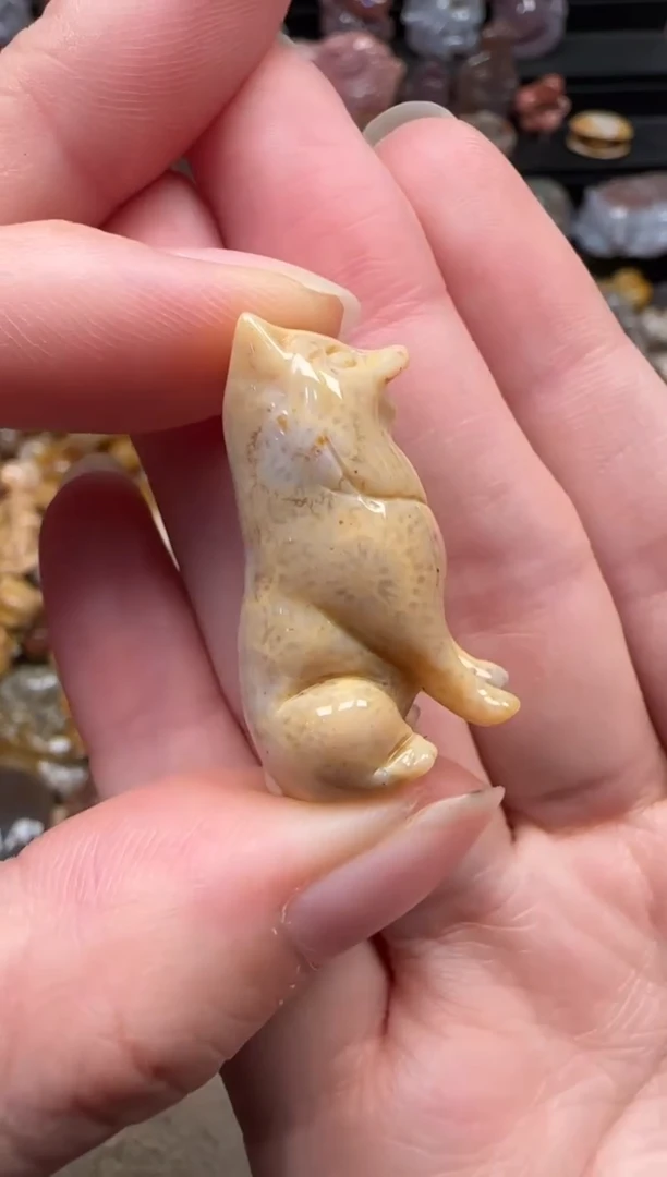 颈饰未镶嵌硅化珊瑚（珊瑚玉）026