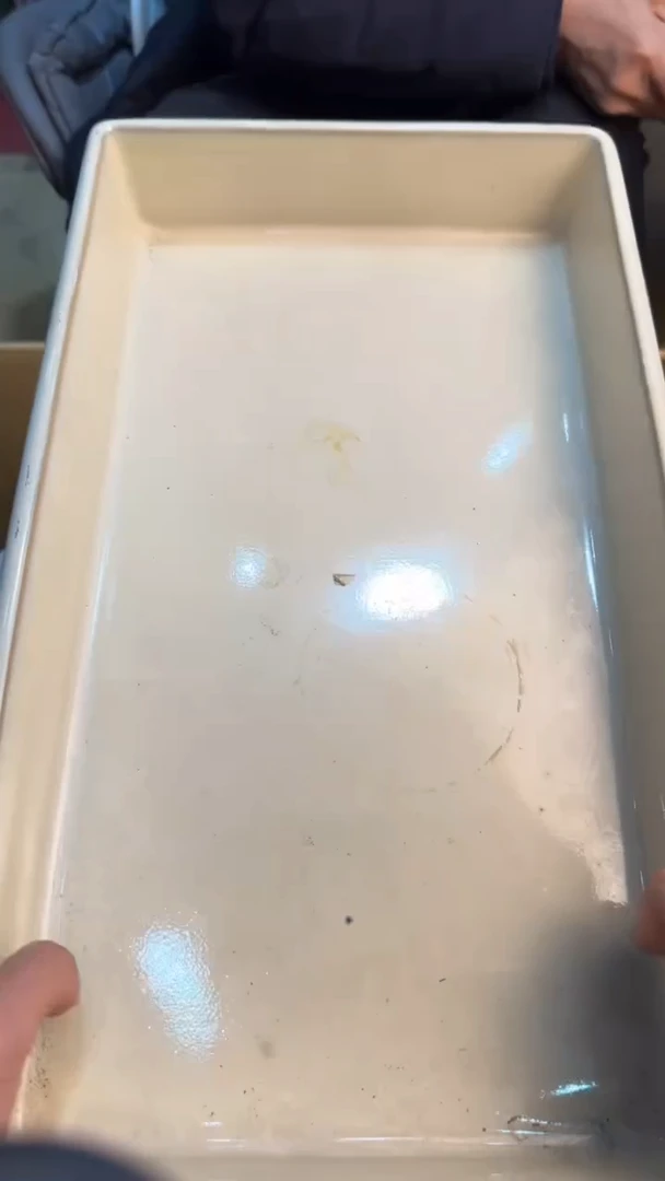 【闪购商品】茶盏8888888888    947