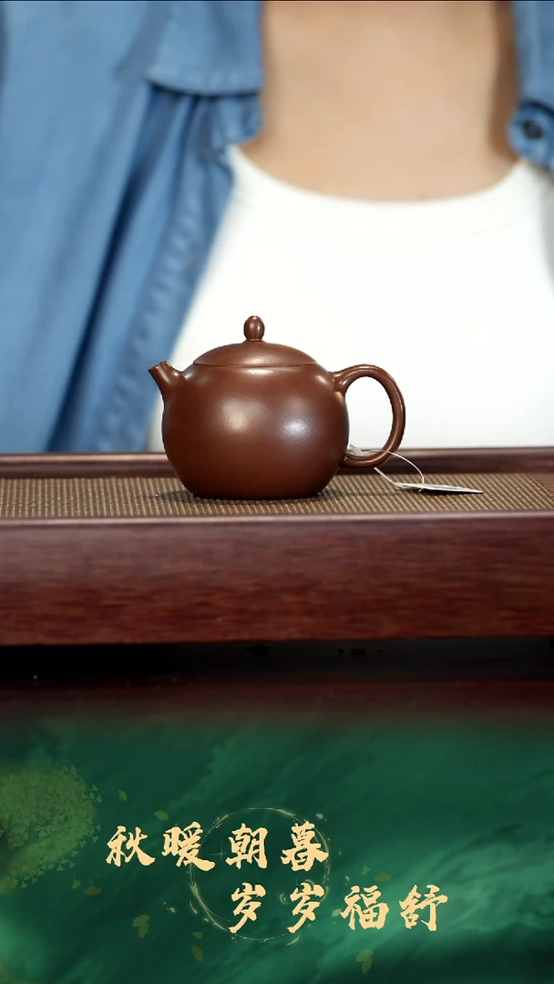 茶壶紫砂紫砂壶孤品福利21