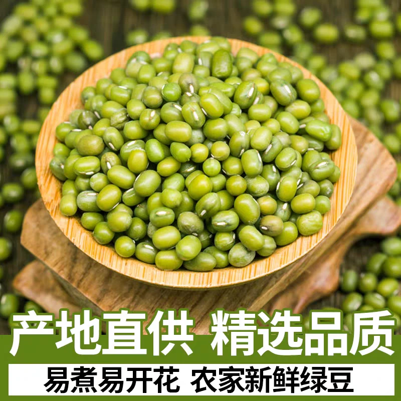 【新货绿豆豆子】农家自产5斤小绿豆饼绿豆汤材料新鲜50g灯笼果豆芽