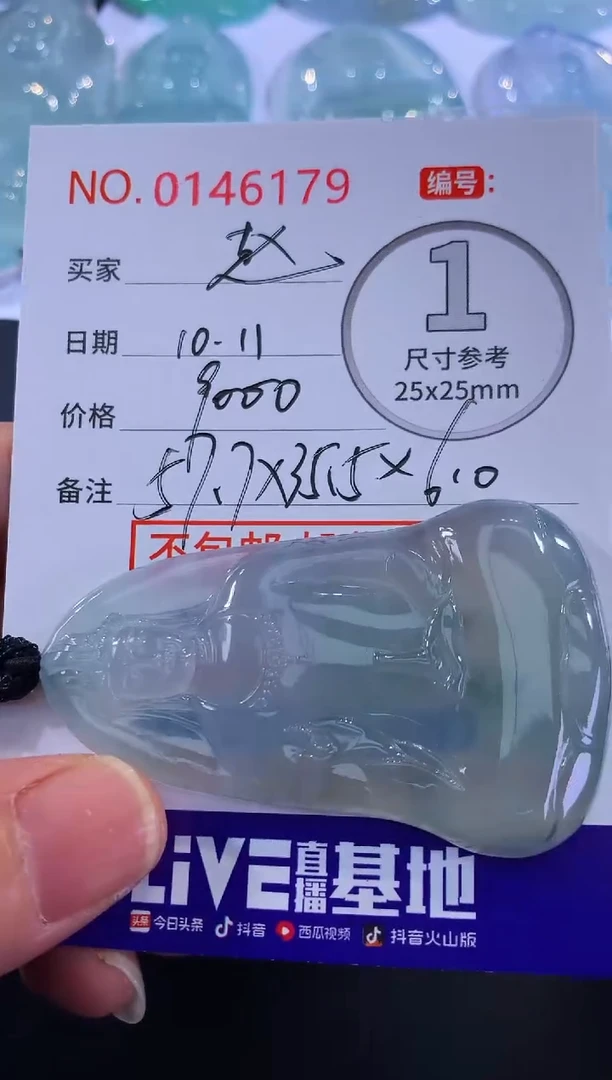 颈饰未镶嵌翡翠赵**宝！