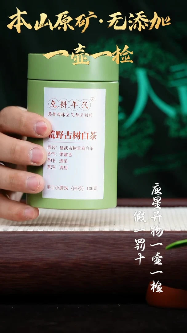 【闪购商品】紫砂茶壶荒野古树 白茶