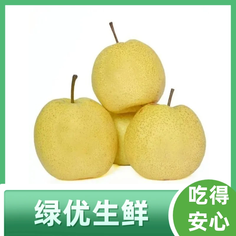 砀山梨-约1000g/份