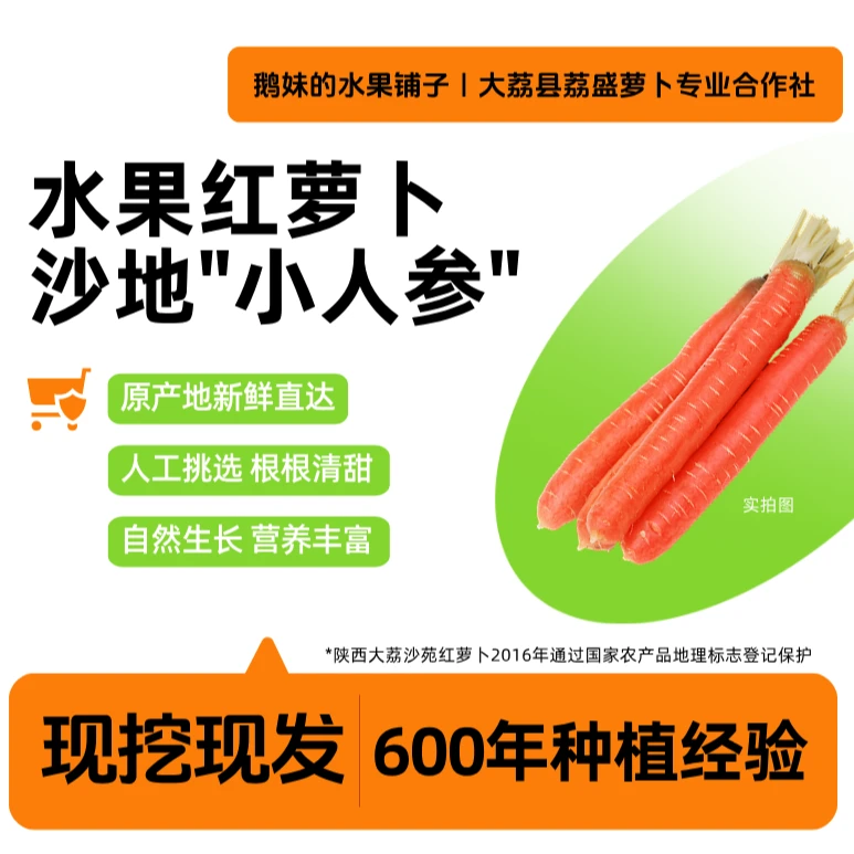 【净果】陕西大荔沙地水果红萝卜 地里现挖现发 可生吃
