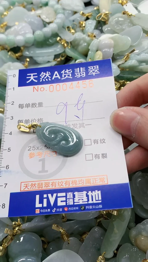 颈饰未镶嵌翡翠纯天然a货翡翠