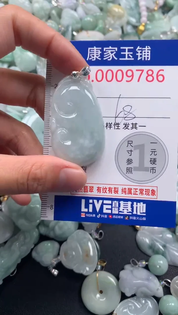 颈饰未镶嵌翡翠9786