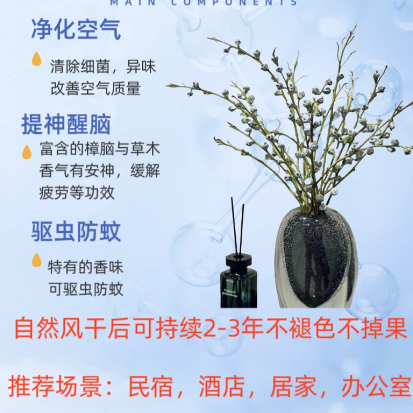 尤加利果【钻石加利果】用一束花迎接2025年钻石氛感可干花尤加利