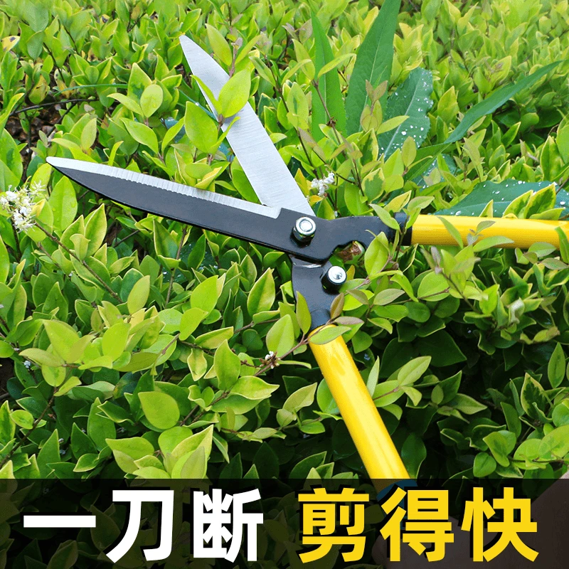 园艺大剪刀园林花剪修枝剪修剪草坪果剪绿篱剪家用强力修剪粗枝剪