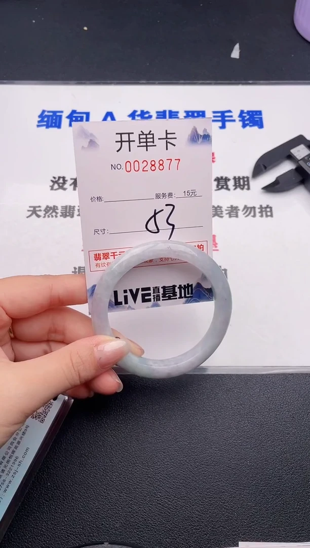 未镶嵌手镯翡翠77