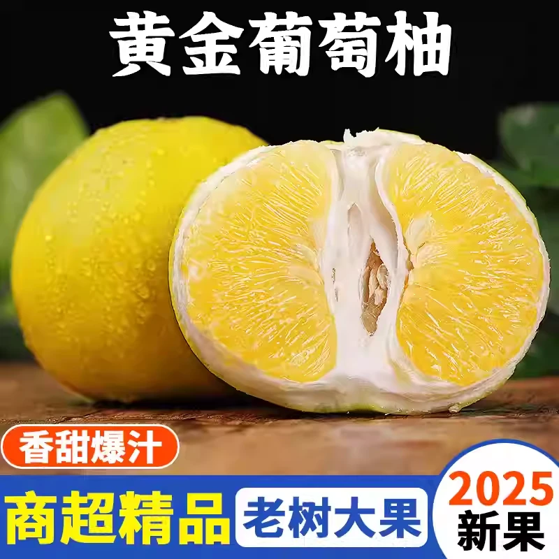【榨汁水果】福建平和黄金葡萄柚子新鲜水果当季整箱4斤-9斤甜西柚