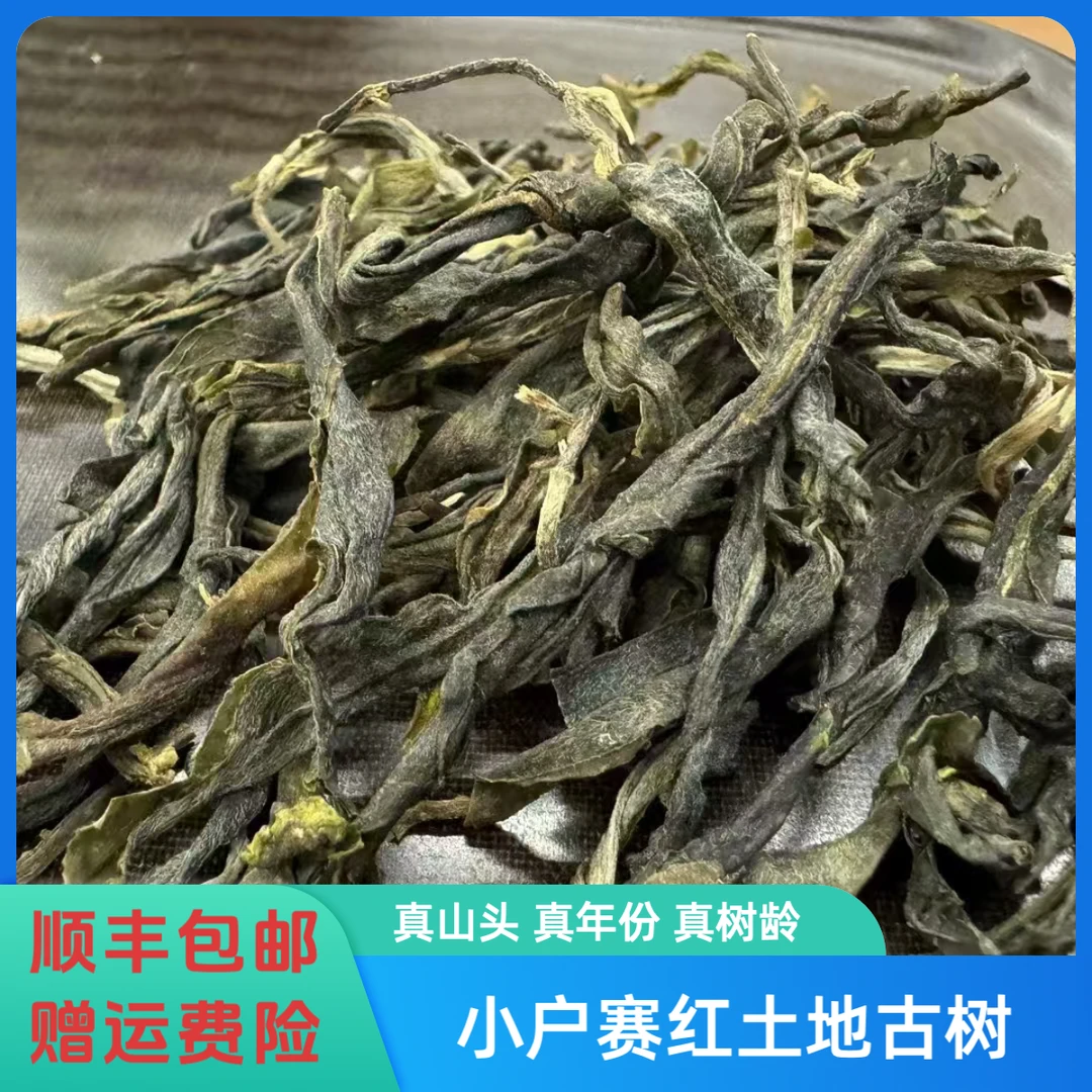 [二类古树 2024年 春] 小户赛红土地 散料（适合存的一款生普）