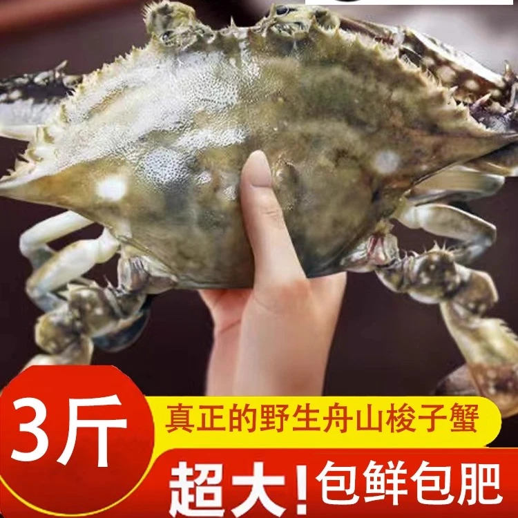 【保鲜不保活】舟山月岙蟹/三斤/梭子蟹3-4两/9-10只,4-5两/6-7只