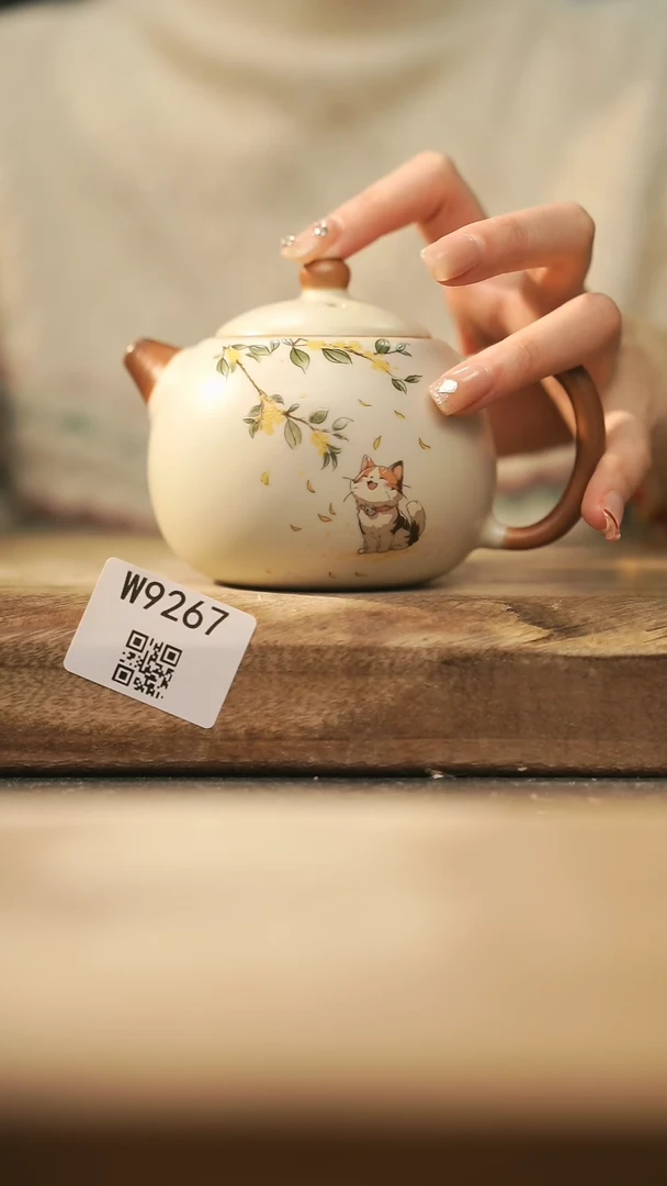 【闪购商品】【经典福利】/ 壶@@W9267