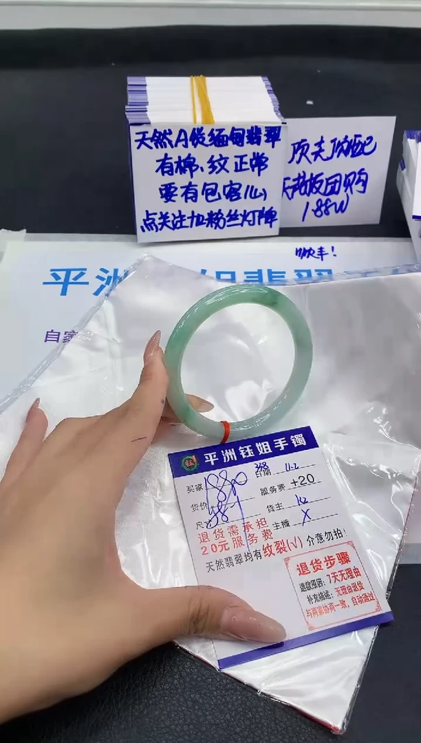 未镶嵌手镯翡翠1