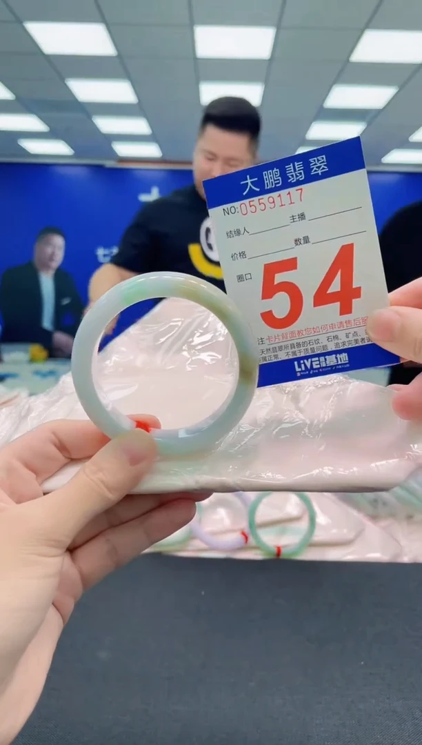 未镶嵌手镯翡翠AAAAAAAAA