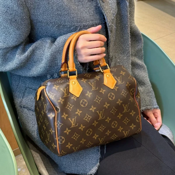 95新 LouisVuitton/路易威登 LV 老花经典speedy25手提款bwz12059