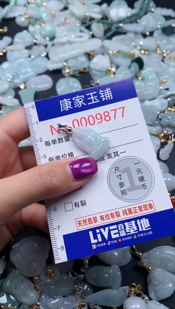 颈饰未镶嵌翡翠9877