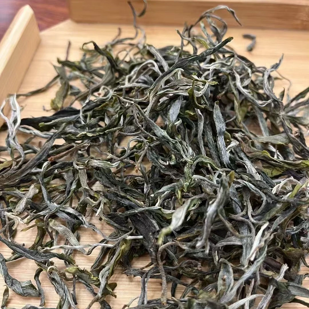 2024年冰岛老寨11号头春茶 百年大树冰糖甜韵有清凉感普洱茶生茶