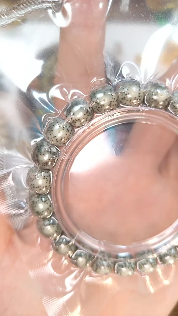 星月菩提手串小龙的爱1.0