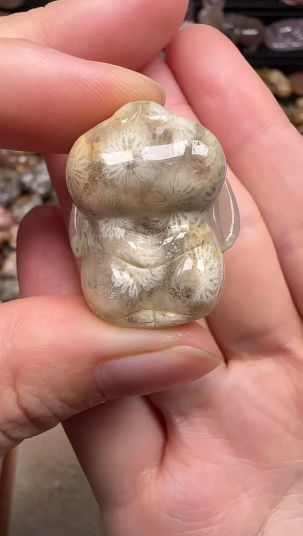 硅化珊瑚（珊瑚玉）未镶嵌颈饰009